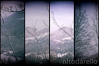 DSCF1682