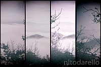 DSCF1684