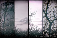DSCF1685