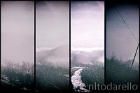 DSCF1686