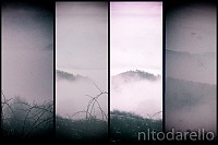 DSCF1688