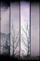 DSCF1689