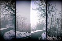 DSCF1690