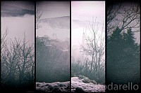 DSCF1691