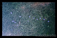 IMG_1214-Modifica